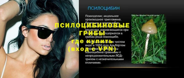 дмт Кулебаки