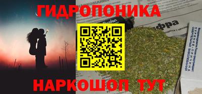 индика Чебоксары