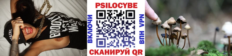 где купить   Нижнекамск  Псилоцибиновые грибы GOLDEN TEACHER 