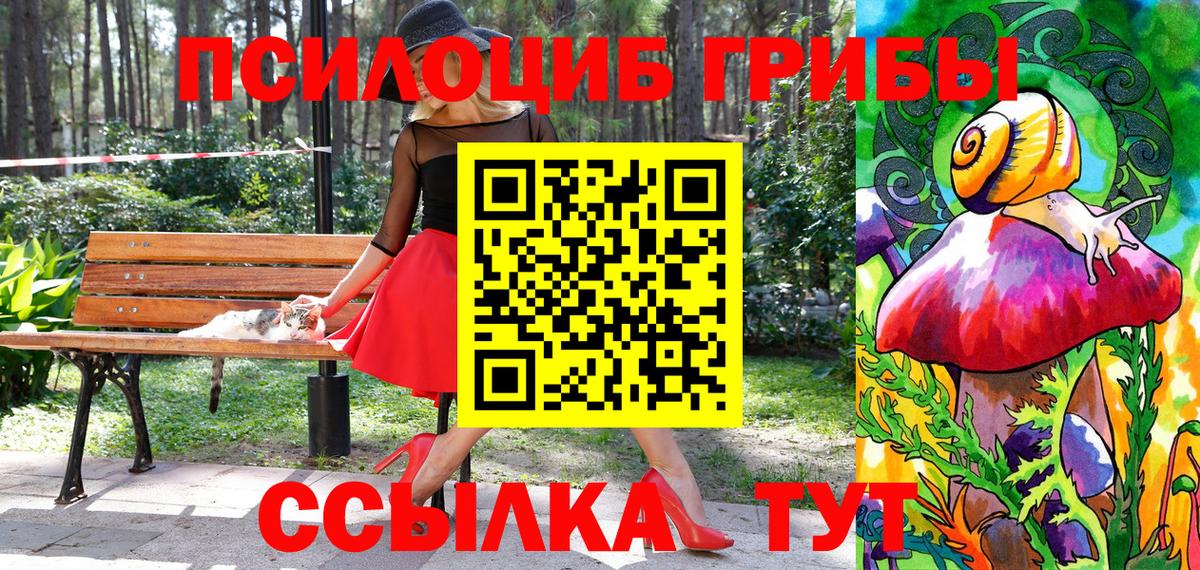 Псилоцибиновые грибы мицелий  Вход с VPN  Нижнекамск 