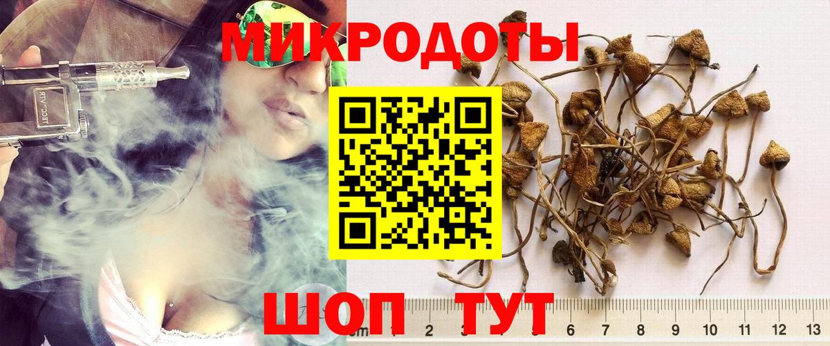 Псилоцибиновые грибы мицелий Нижнекамск